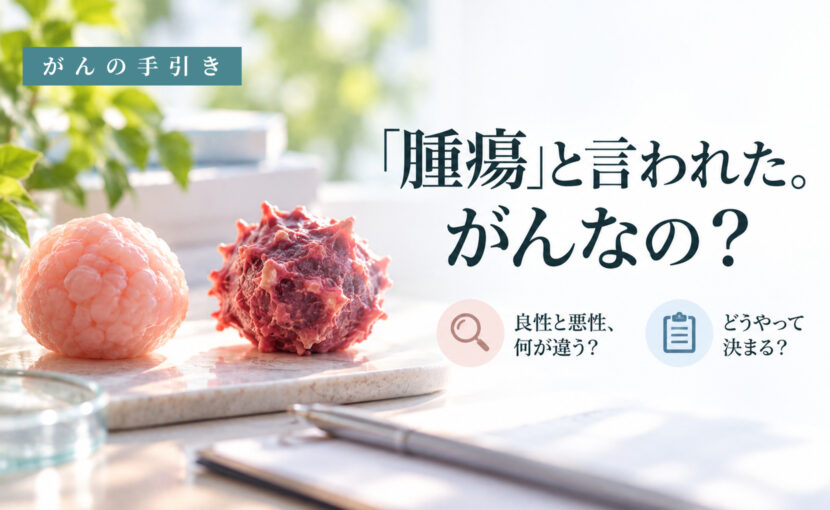 机の上に並んだ2つの腫瘍の模型。良性腫瘍と悪性腫瘍の違いを説明する記事