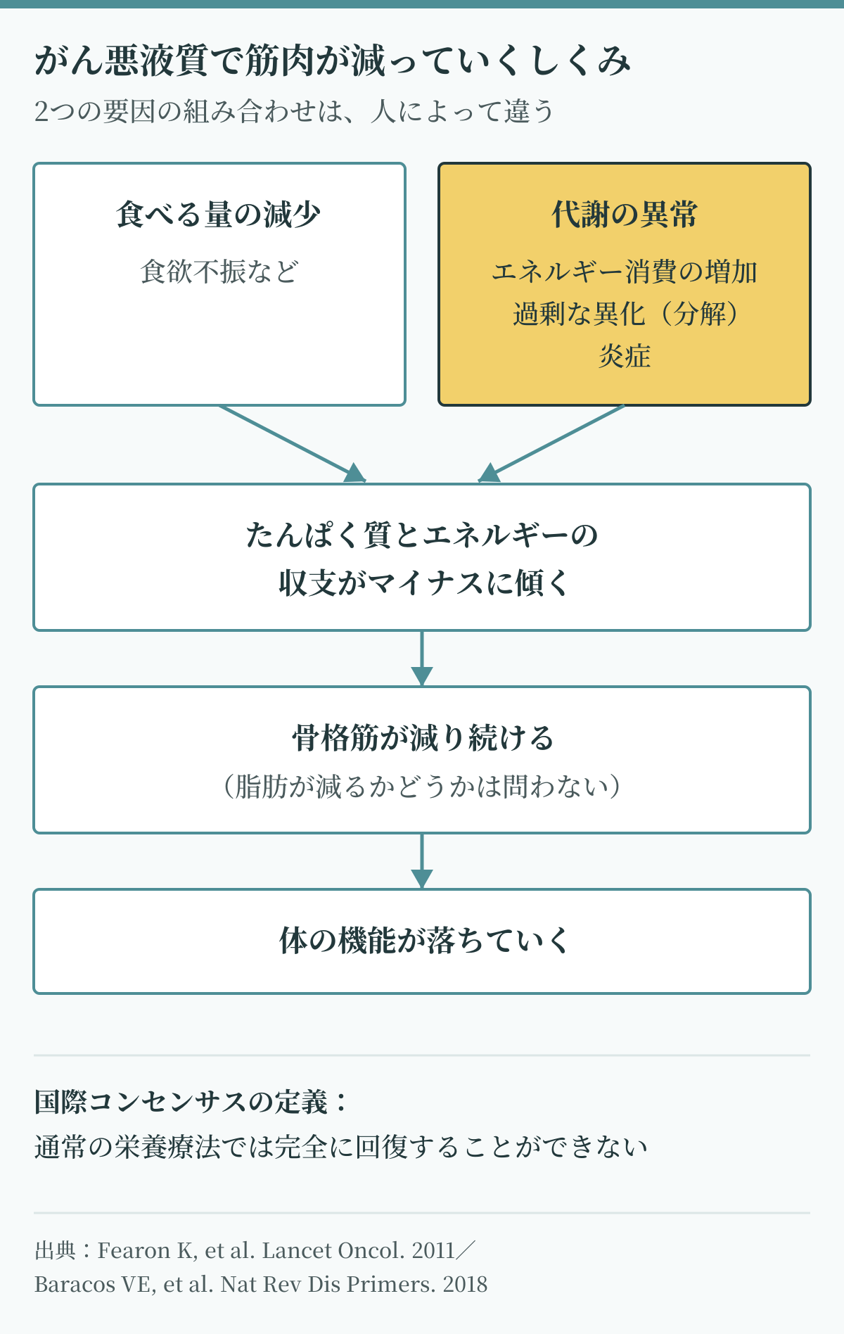 がん悪液質のしくみを示す図。食べる量の減少と、エネルギー消費の増加・過剰な異化・炎症という代謝の異常が重なり、たんぱく質とエネルギーの収支がマイナスに傾いて骨格筋が減り続け、体の機能が落ちていく