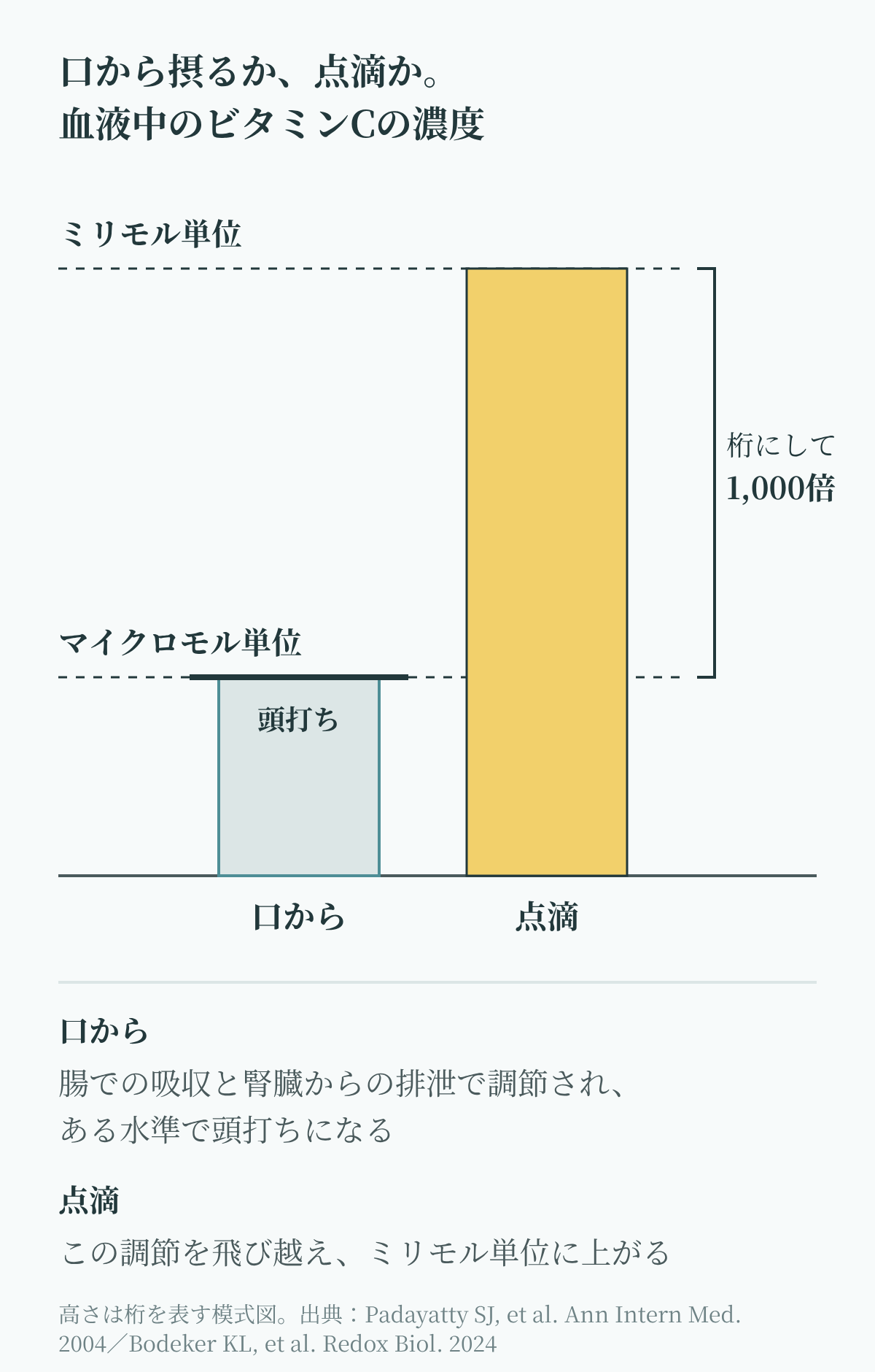 高濃度ビタミンC点滴とがんの関係を考える前提として、口から摂ったときと点滴のときの血液中のビタミンC濃度の違いを示した図。口からは頭打ちになり、点滴ではマイクロモル単位からミリモル単位へ、桁にして1,000倍に上がる