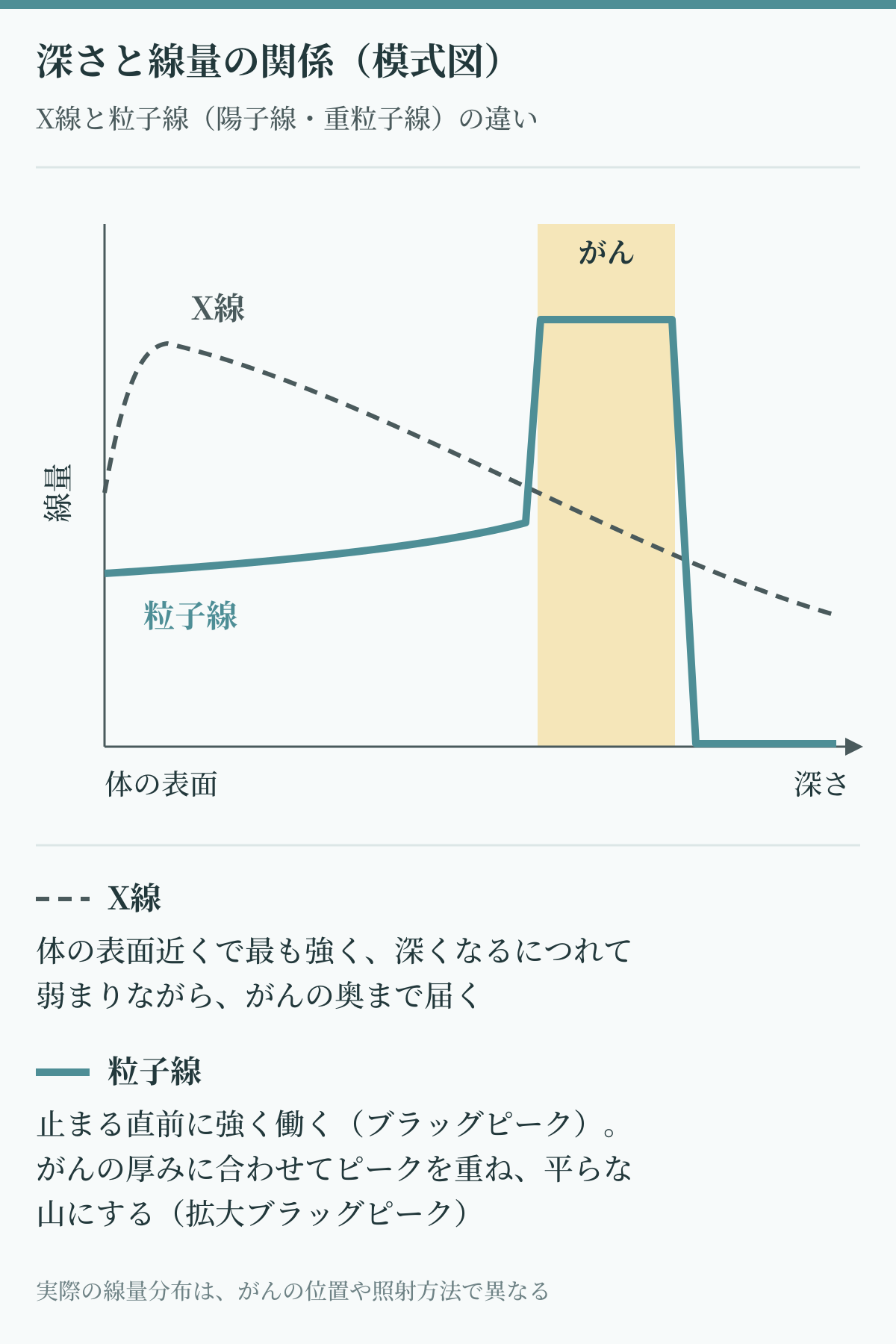 重粒子線と陽子線(粒子線)とX線の違いを示す模式図。X線は体の表面近くで線量が最も大きく深くなるほど弱まり、粒子線はがんの深さで線量の山(拡大ブラッグピーク)を作る