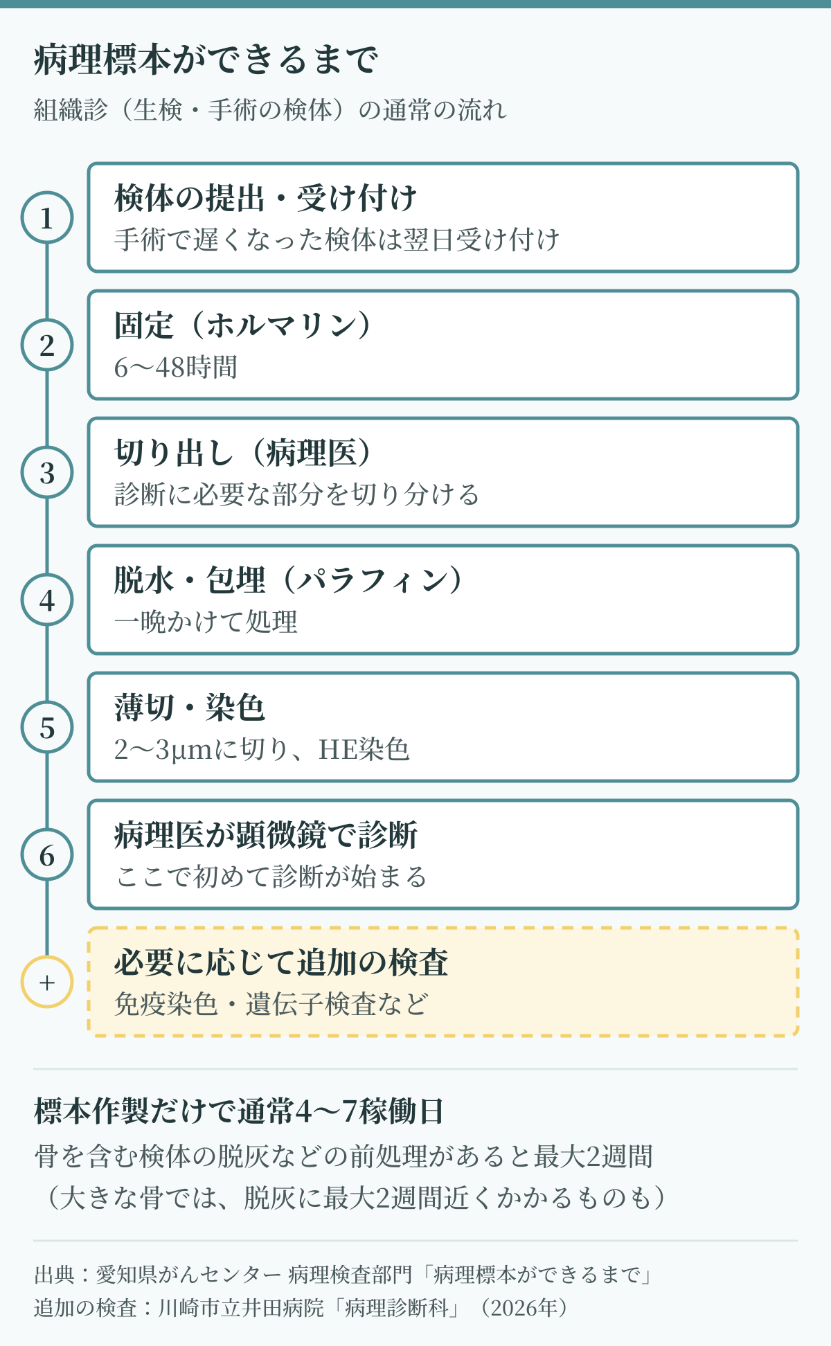 病理検査の結果が出るまでに何日かかるかを示す、組織の標本ができるまでの工程(固定6〜48時間、一晩の脱水・包埋、薄切・染色、病理医の診断、追加の免疫染色や遺伝子検査)の図