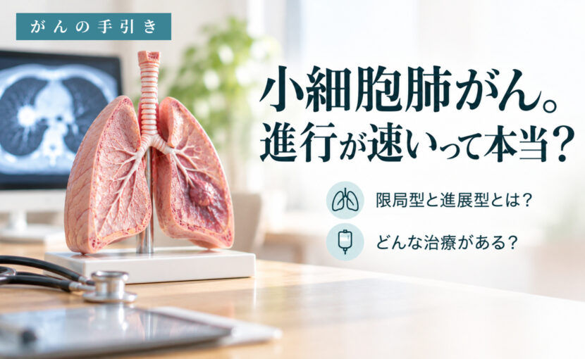 肺の模型と胸部の検査画像。小細胞肺がんのステージと治療を説明する記事